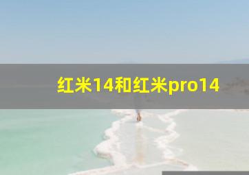 红米14和红米pro14