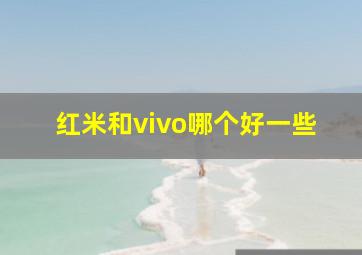 红米和vivo哪个好一些