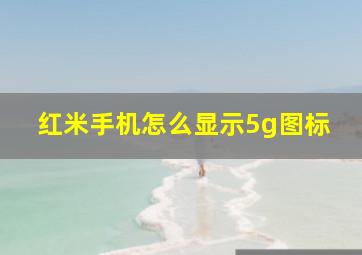 红米手机怎么显示5g图标