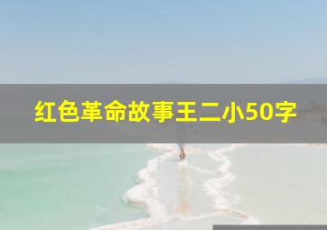 红色革命故事王二小50字