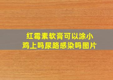 红霉素软膏可以涂小鸡上吗尿路感染吗图片