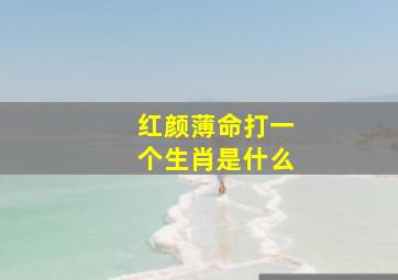 红颜薄命打一个生肖是什么