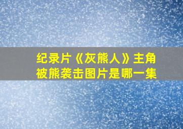 纪录片《灰熊人》主角被熊袭击图片是哪一集