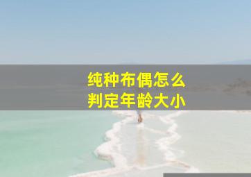 纯种布偶怎么判定年龄大小