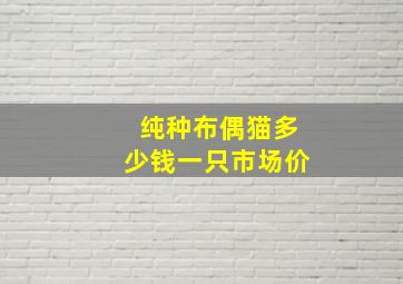 纯种布偶猫多少钱一只市场价