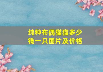 纯种布偶猫猫多少钱一只图片及价格