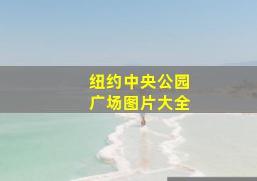 纽约中央公园广场图片大全