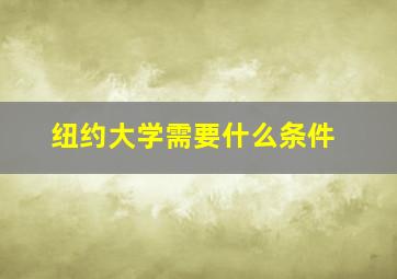 纽约大学需要什么条件