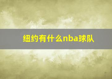 纽约有什么nba球队