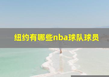 纽约有哪些nba球队球员