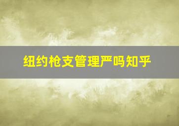 纽约枪支管理严吗知乎