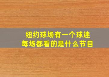 纽约球场有一个球迷每场都看的是什么节目