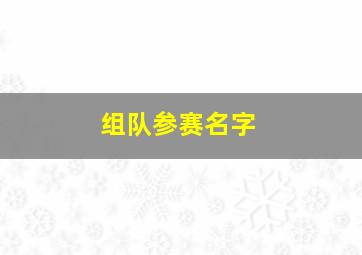 组队参赛名字