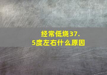 经常低烧37.5度左右什么原因