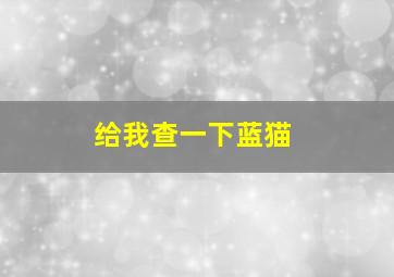 给我查一下蓝猫