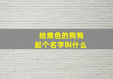 给黑色的狗狗起个名字叫什么