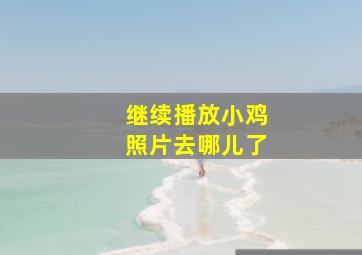 继续播放小鸡照片去哪儿了