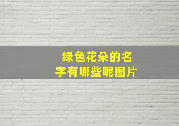 绿色花朵的名字有哪些呢图片