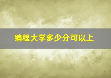 编程大学多少分可以上