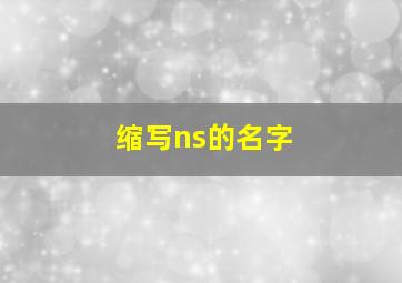 缩写ns的名字