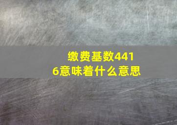 缴费基数4416意味着什么意思