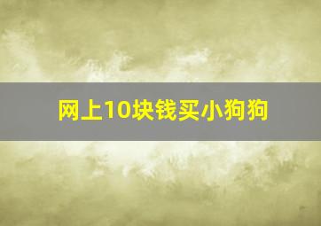 网上10块钱买小狗狗