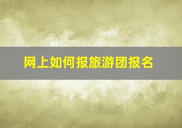 网上如何报旅游团报名