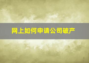 网上如何申请公司破产