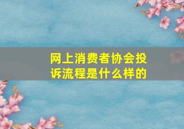 网上消费者协会投诉流程是什么样的