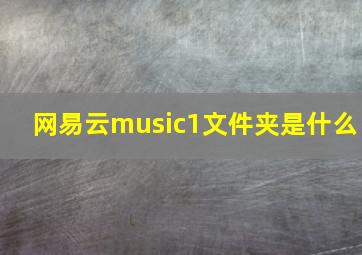 网易云music1文件夹是什么