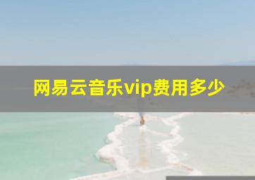 网易云音乐vip费用多少