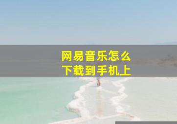 网易音乐怎么下载到手机上