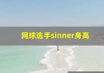 网球选手sinner身高