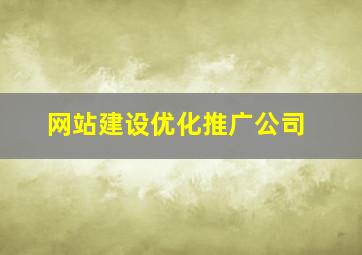 网站建设优化推广公司