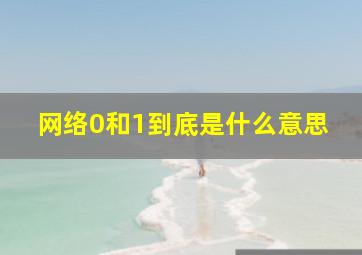 网络0和1到底是什么意思