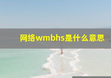 网络wmbhs是什么意思