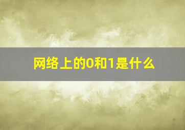 网络上的0和1是什么