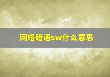 网络暗语sw什么意思