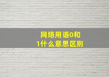 网络用语0和1什么意思区别