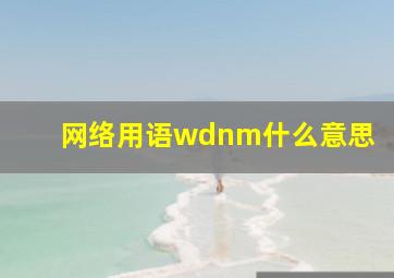 网络用语wdnm什么意思