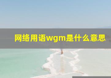 网络用语wgm是什么意思