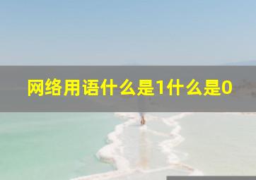 网络用语什么是1什么是0