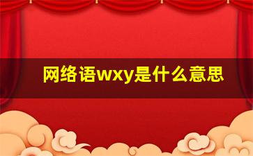 网络语wxy是什么意思