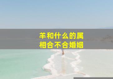 羊和什么的属相合不合婚姻