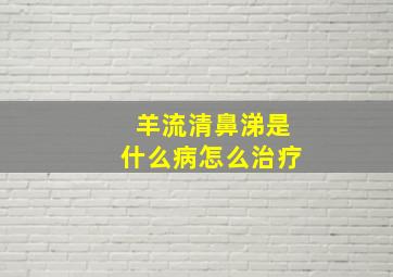 羊流清鼻涕是什么病怎么治疗