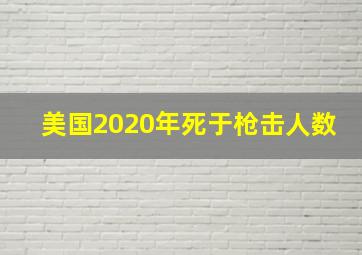 美国2020年死于枪击人数