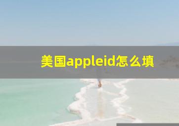 美国appleid怎么填