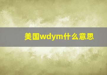 美国wdym什么意思