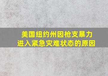 美国纽约州因枪支暴力进入紧急灾难状态的原因