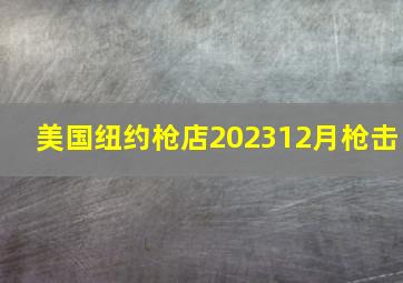 美国纽约枪店202312月枪击